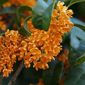 a0041508_23101878.jpg