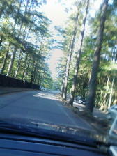 f0054809_14351441.jpg