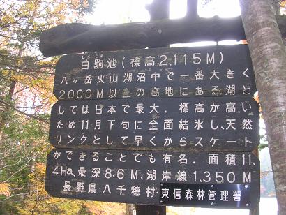 f0057509_1531495.jpg