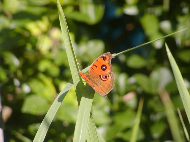 d0037110_13212064.jpg