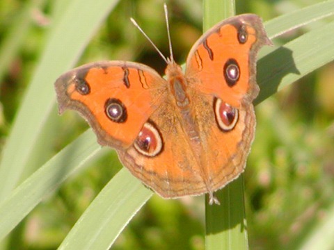 d0037110_13214681.jpg