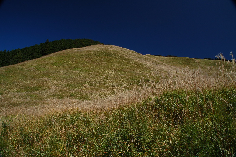 c0062621_9523771.jpg
