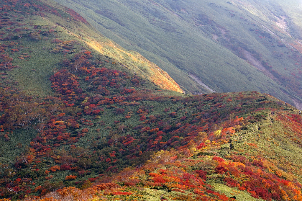 b0062024_2049133.jpg