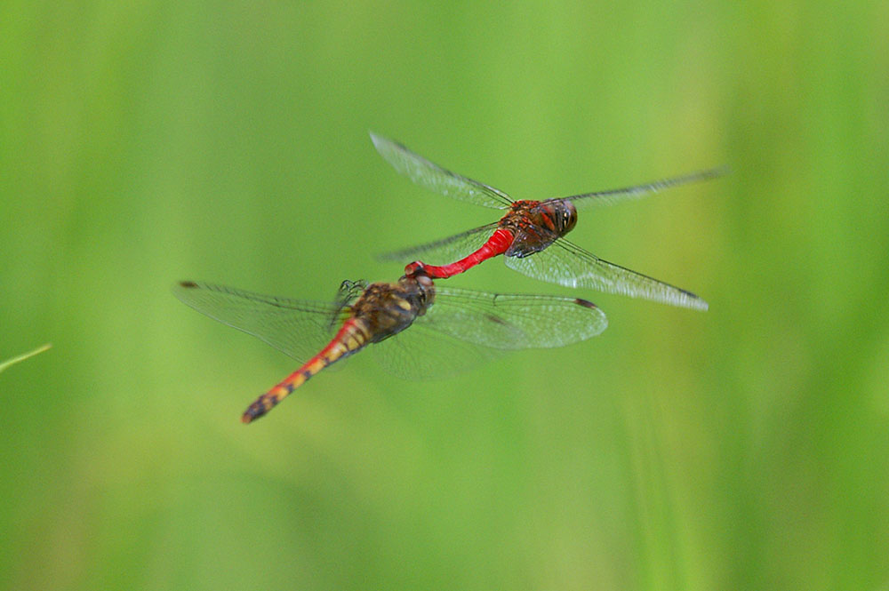 d0089024_23283782.jpg