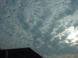 b0082125_16183637.jpg