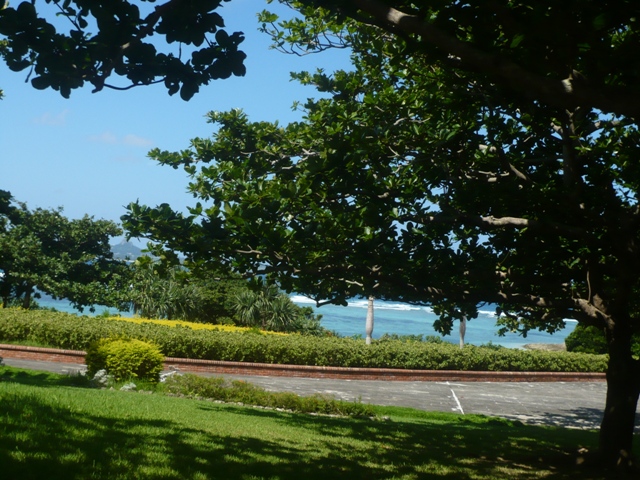 f0136326_9305082.jpg