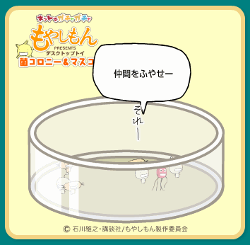 b0039928_2053536.gif