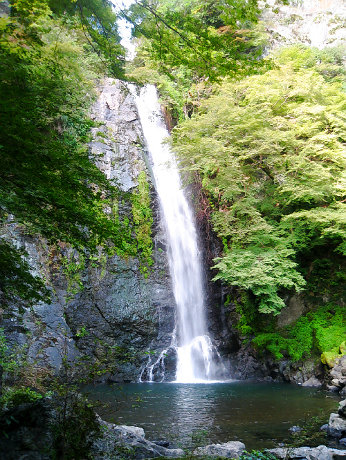 d0017632_17165412.jpg
