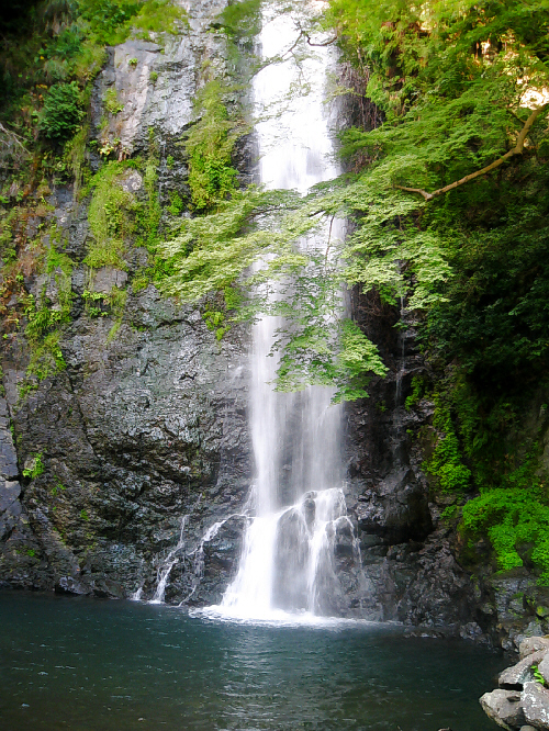 d0017632_17201725.jpg