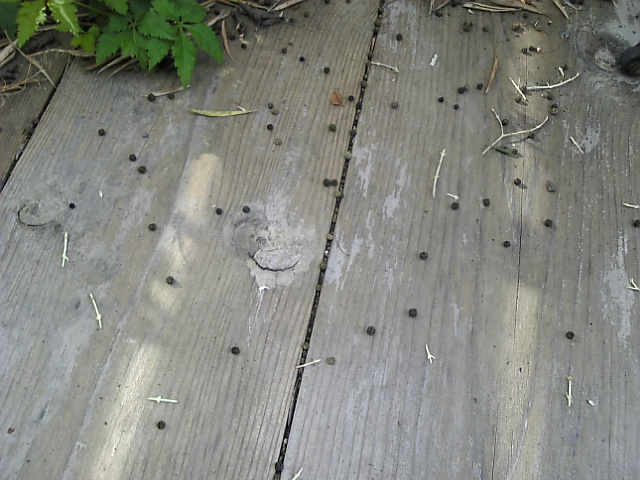 f0138934_2016822.jpg
