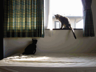 c0136736_18235967.gif
