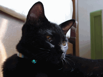 c0136736_1827207.gif