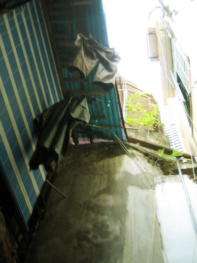 a0023740_1046252.jpg