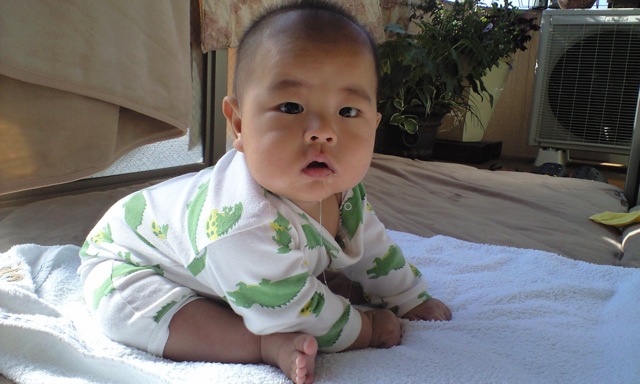 c0120240_1453162.jpg