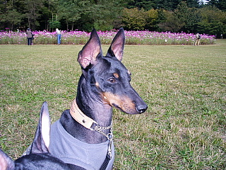 c0123149_1549342.jpg