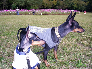 c0123149_15553041.jpg