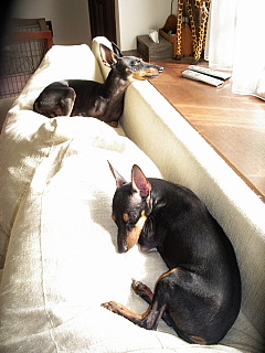c0123149_15574292.jpg