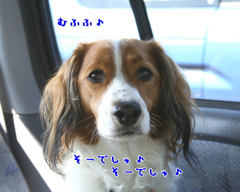 d0013149_1323631.jpg