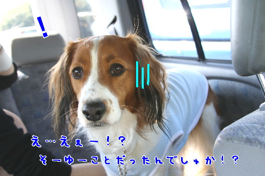 d0013149_1502521.jpg