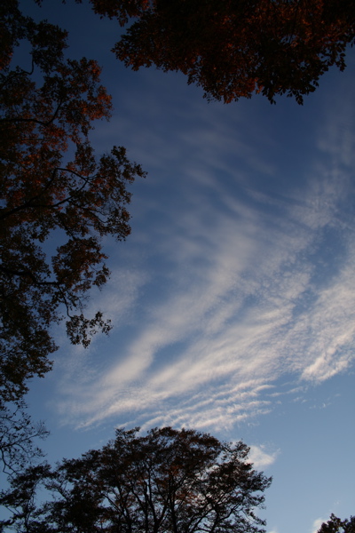 e0009049_1392825.jpg