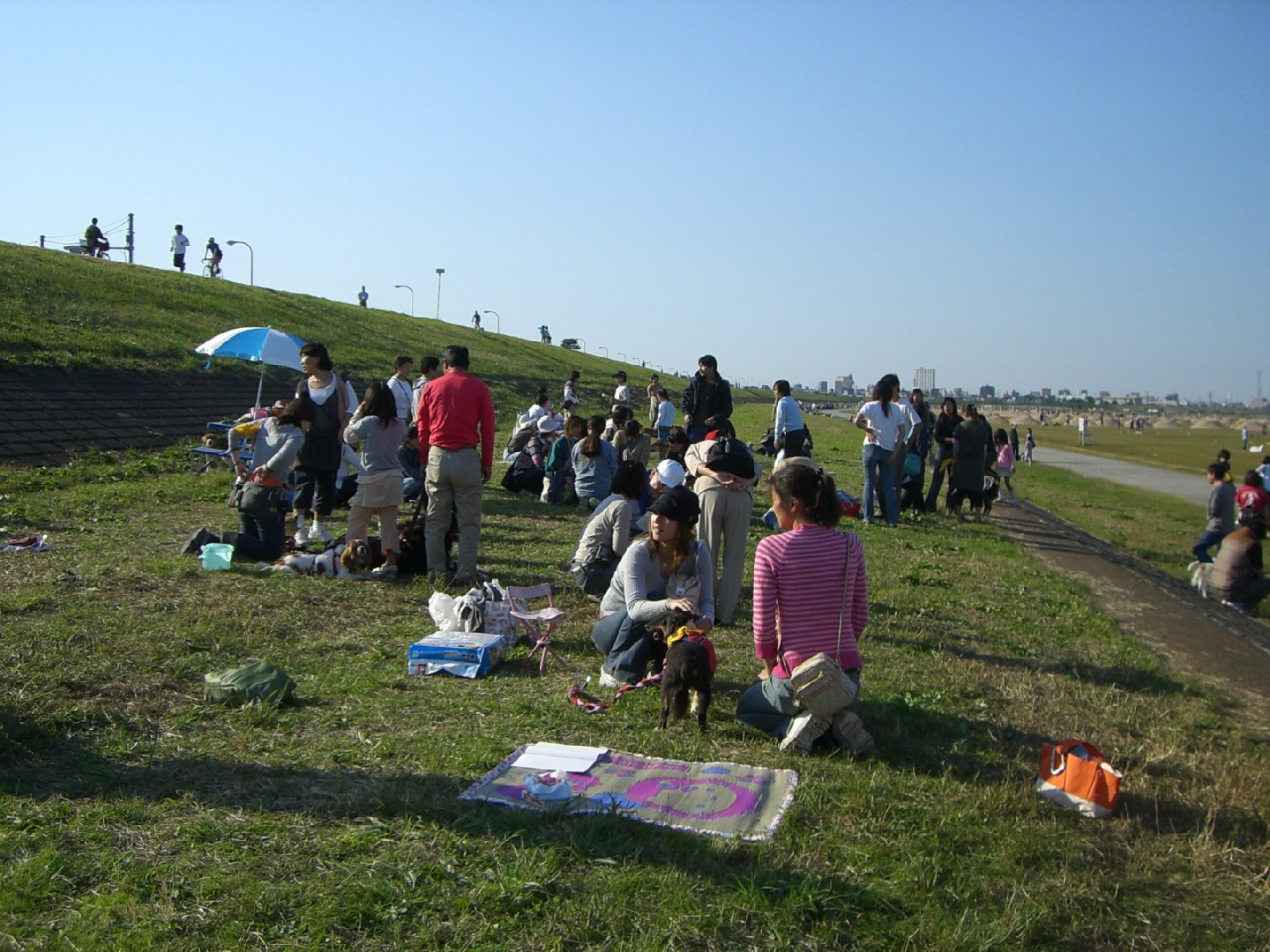 b0072650_12123671.jpg