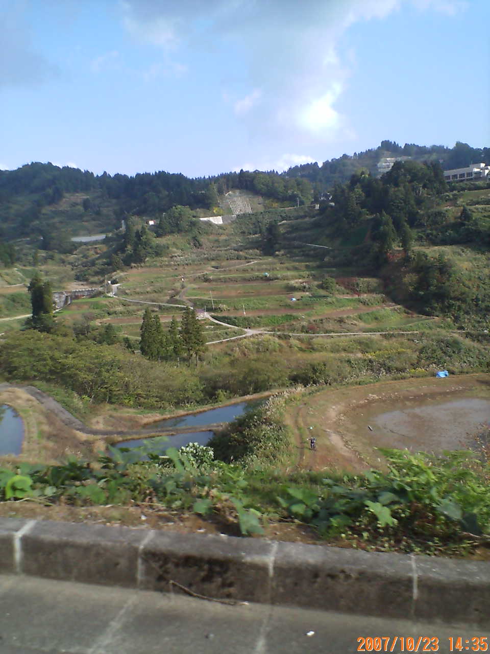 b0050151_20471348.jpg