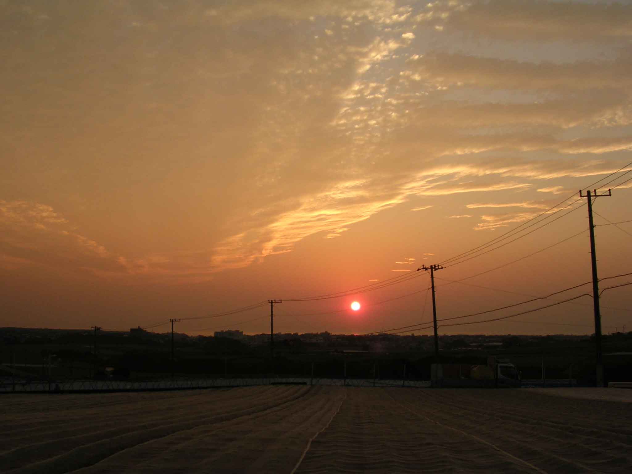 b0078754_1827686.jpg