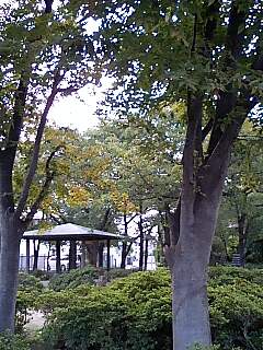 d0076760_20591942.jpg