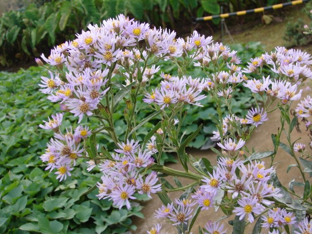 b0061261_21225143.jpg