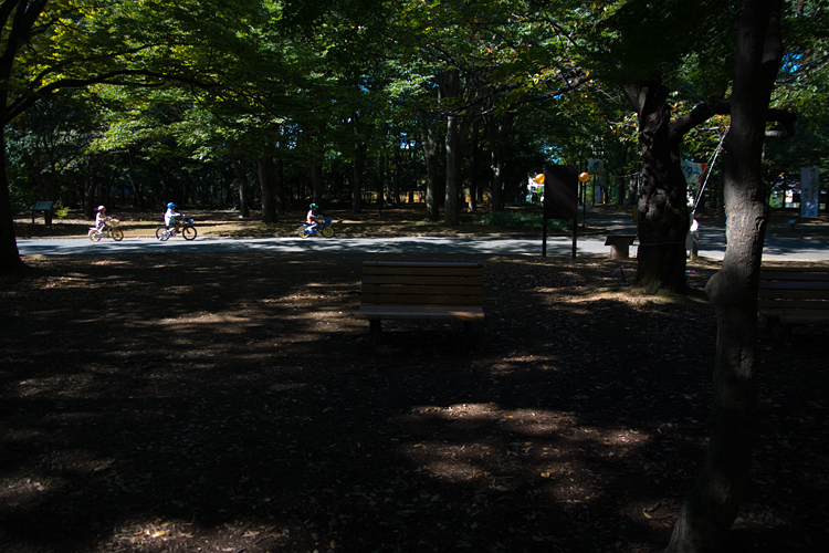 c0114161_015364.jpg