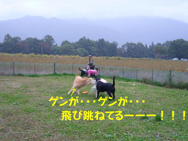 f0057565_1515451.jpg