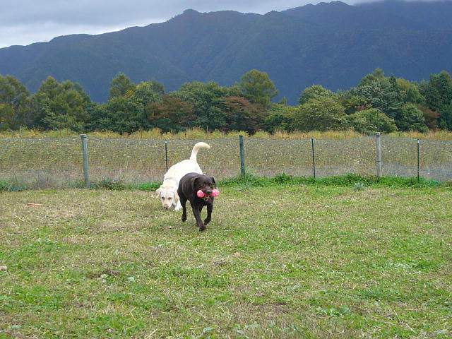 f0057565_1823042.jpg