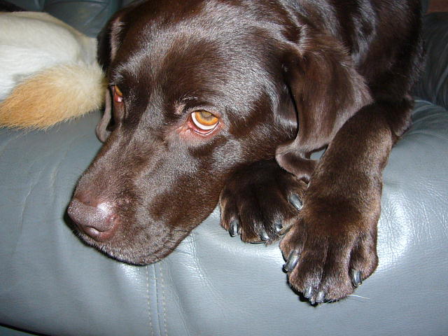f0057565_18254120.jpg
