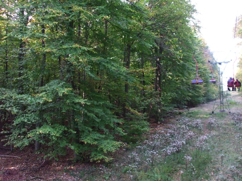 f0131165_13563114.jpg