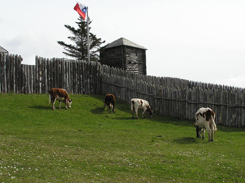 c0103368_022558.jpg