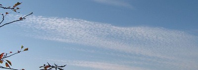 e0041168_9543953.jpg