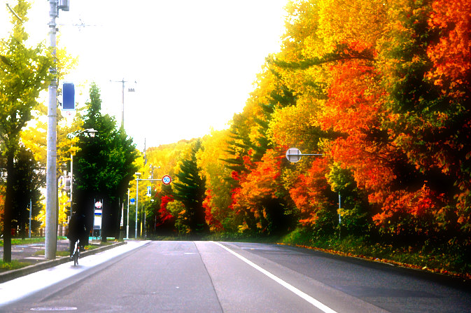 c0026870_21142012.jpg