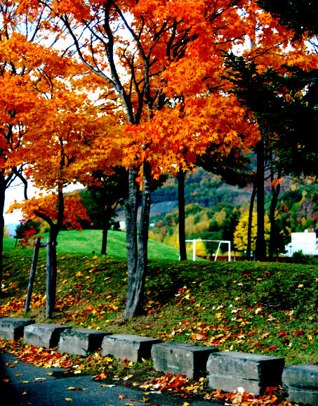 c0026870_2114427.jpg