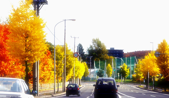 c0026870_21145586.jpg