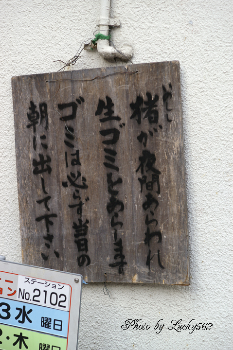 e0002371_10395079.jpg