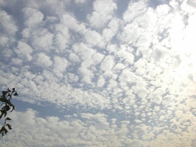 c0078480_0104742.jpg