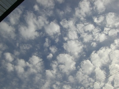 c0078480_0122295.jpg