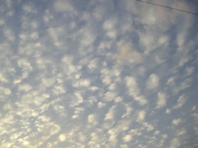 c0078480_0252214.jpg