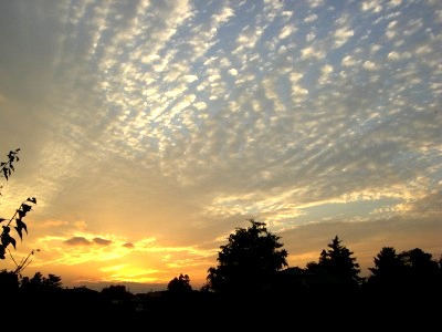 c0078480_0442346.jpg