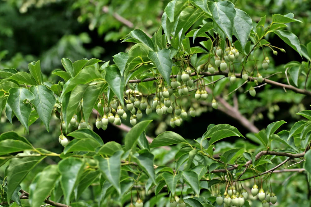 a0083081_17255943.jpg