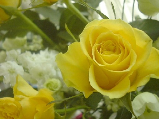 f0039281_2211894.jpg