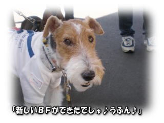 a0037682_21533663.jpg