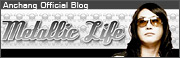 AnchangOfficialBlog Metallie Life