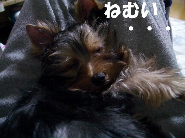 c0031582_13251211.jpg