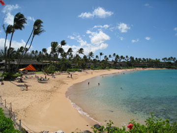 f0068883_141556.jpg